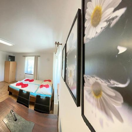 Apartment Nedrik ロキトニツェ・ナト・イゼロウ エクステリア 写真