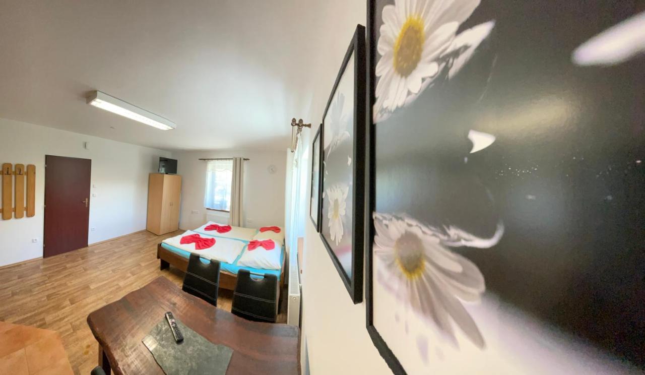 Apartment Nedrik ロキトニツェ・ナト・イゼロウ エクステリア 写真