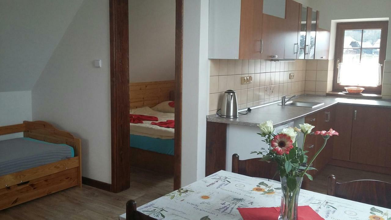 Apartment Nedrik ロキトニツェ・ナト・イゼロウ エクステリア 写真